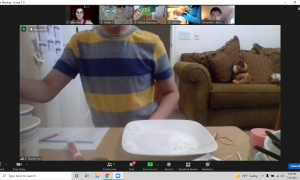 Day 1 Toothpick Experiment (2)